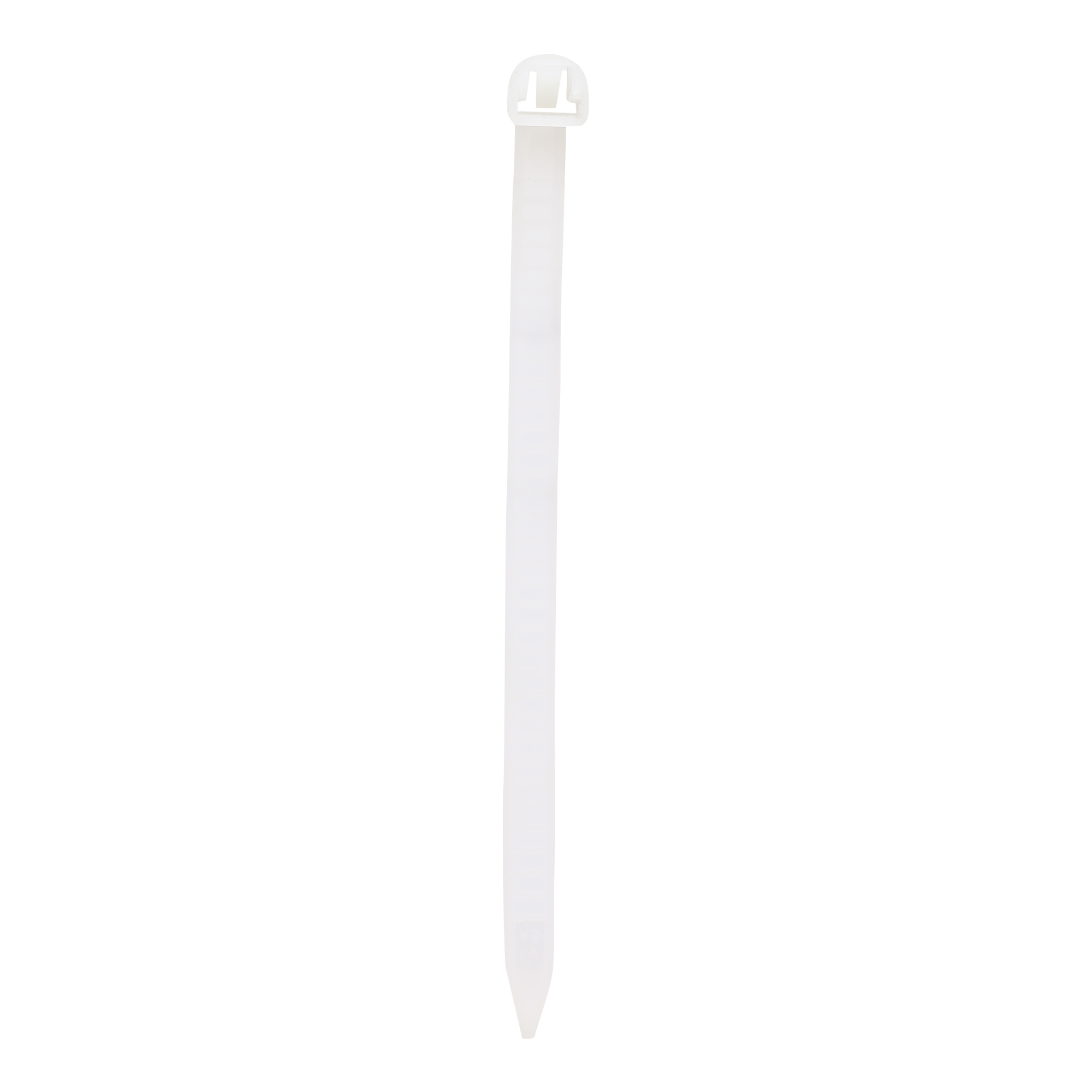 CLAMP
